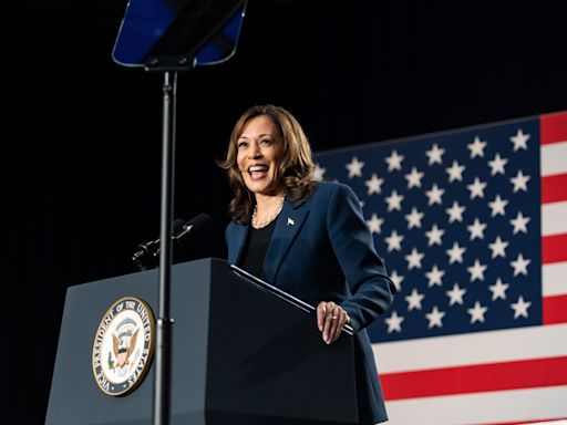 What to know about Kamala Harris, coconut trees and 'Brat Summer'