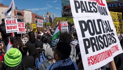 Un ejército de webs proisraelíes perfila a estudiantes de EE. UU. presentes en las protestas propalestinas