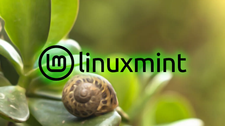 Linux Mint 22 Stable release may take more than two weeks, project lead warns