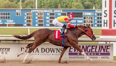 Lone Warrior Is Stallion Lone Sailor's First Winner