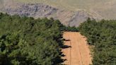 ¿Por qué hay líneas sin vegetación en las montañas en España? Esta es la explicación a los cortafuegos