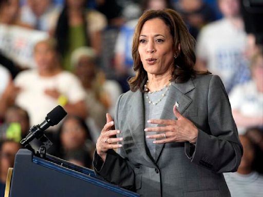 Sondeo: La mayoría de los demócratas cree que Kamala Harris sería una buena presidenta