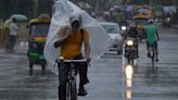 Mumbai Rains Live Updates: IMD issues red alert for Mumbai; flights, local train services disrupted