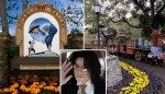 Michael Jackson’s infamous Neverland Ranch is being used as major filming location for biopic about pop icon