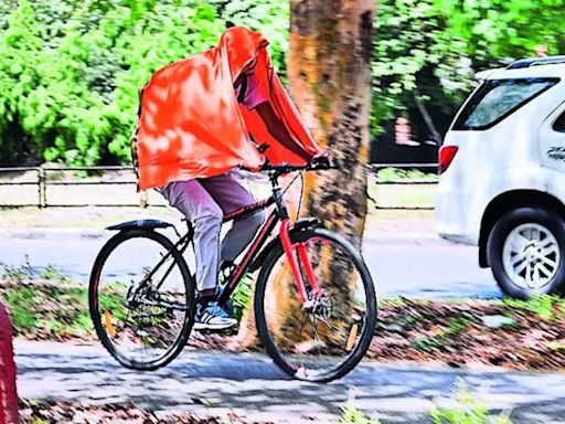 45°c: City Dials Mayday As Mercury Hits New Peak | Chandigarh News - Times of India
