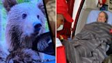 Tourist clawed by bear on Romanian road after stopping for photo