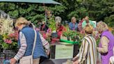 Summer is back and so is the popular plant fair at Whittington Castle!
