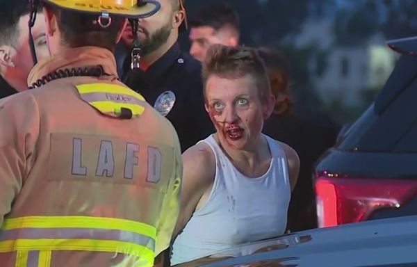 LA police chase ends in multi-vehicle crash on 405 Freeway
