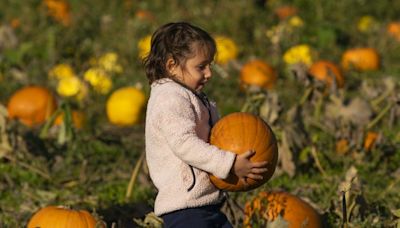 B.C. weather: Heading to the pumpkin patch this October? Here's what to expect