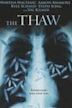 The Thaw (2009 film)