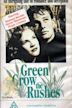 Green Grow the Rushes (film)