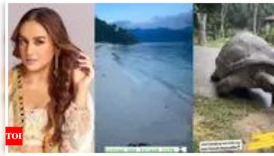 Huma Qureshi's lives the island life; holidays in Seychelles, says she is 'obsessed with nature' | Hindi Movie News - Times of India