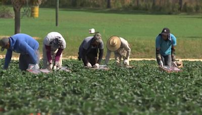 Health Secretary Becerra touts extreme heat protections. Farmworkers want more.