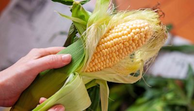 The Best Way To Shuck Corn in One Swift Move, According to a Corn Farmer