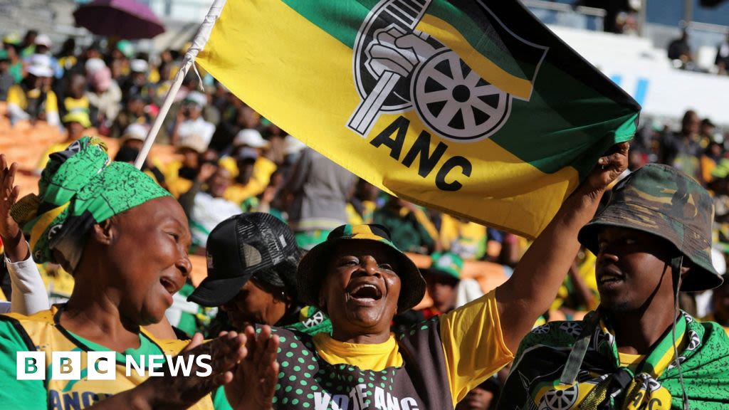 South Africa elections: ANC's dilemma over coalition government