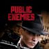 Public Enemies