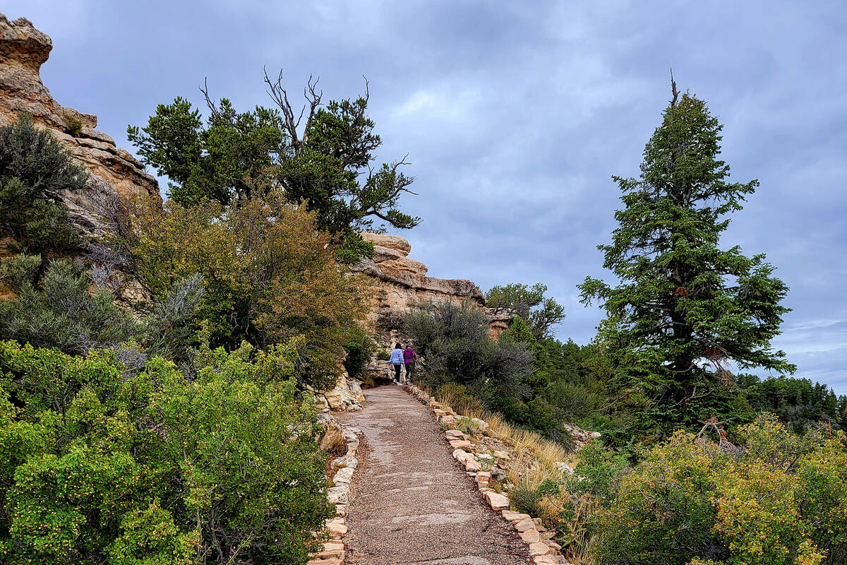 A cooler, less crowded way to visit Grand Canyon — PHOTOS