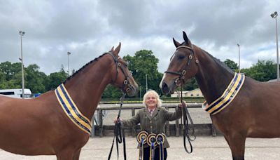 Taggart takes top prize at Enniskillen Horse and Pony Show