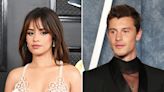 Camila Cabello and Shawn Mendes Spotted Holding Hands Amid Reunion Rumors