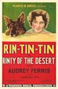 Rinty of the Desert