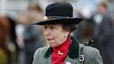 UK's Princess Anne In Hospital With 'Minor Injuries And Concussion': Palace