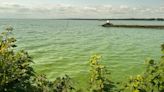 Algae in Lough Neagh back at 2023 levels