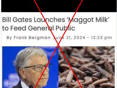 False claims linking Bill Gates to 'maggot milk' spread online