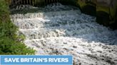 Biggest water firms given top environmental status despite sewage spills