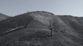 Chilling video released by youth climate activists focuses on California wildfires