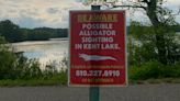 Michigan park officials raise alarm about potential alligator sighting: 'Be aware'