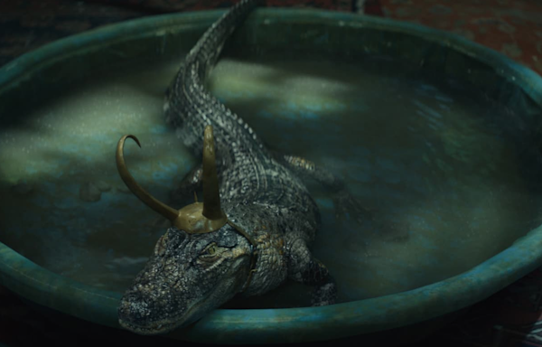 The Emotional Support Alligator That Allegedly Inspired 'Alligator Loki' Has Gone Missing - IGN