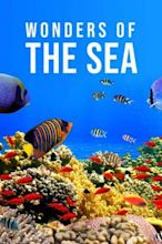 Wonders of the Sea