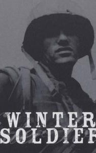 Winter Soldier (film)