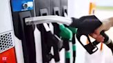 PESO to formulate safety norms to allow petrol pumps within 30-50 mtrs of habitation: Piyush Goyal