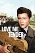 Love Me Tender (film)