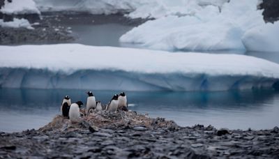 In message to Russia, Chilean lawmakers meet in Antarctica to underline territorial claims