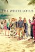 The White Lotus