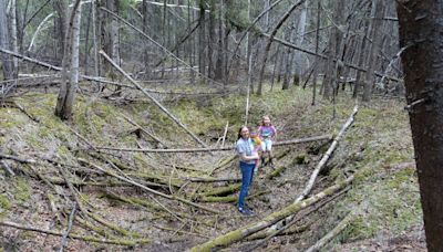 Alaska Science Forum: A backyard science expedition, in diapers | Juneau Empire