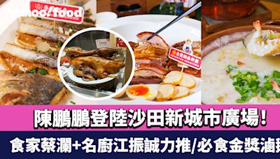 深圳潮汕菜名店陳鵬鵬登陸沙田新城市廣場！食家蔡瀾+名廚江振誠力推/必食金獎滷鵝