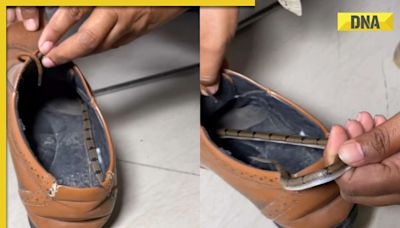 This video of snake hiding inside shoe will send chills down your spine, watch