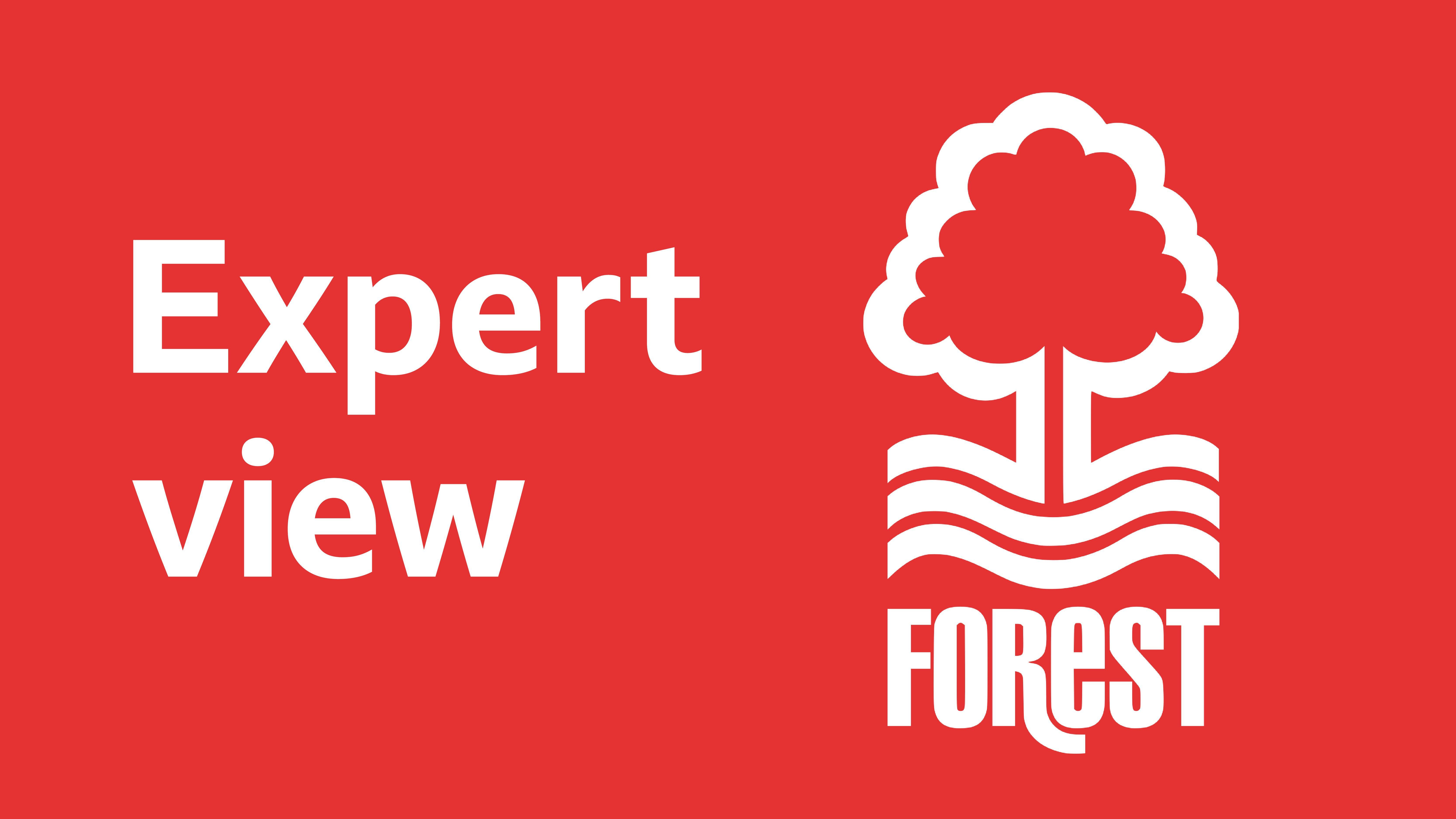 Will Forest keep eye-catching talents?