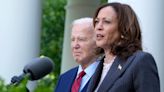 VP Harris called on to lead emergency meeting with major Dem donors, reports say
