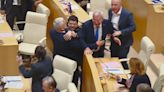 Fighting breaks out in Georgian parliament over 'Russian law'