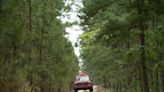 Wharton State Forest plan to control illegal motor vehicle damage is a welcome step