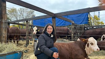 “Es impresionante”: la niña prodigio que puede ver lo que hay debajo del cuero de las vacas