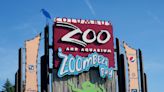 Audit letters raise early red flags to Columbus Zoo board. But were they heeded?