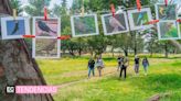 Desafío Naturaleza Urbana en Quito: Un éxito rotundo de ciencia ciudadana para la conservación