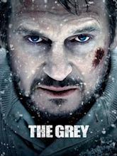 The Grey (film)