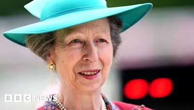 Princess Anne in hospital with minor head injury after suspected horse incident