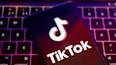 TikTok says cyber-attack hit brands and celebrities